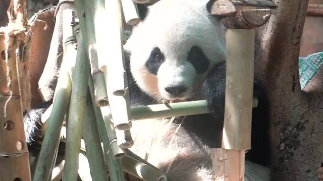 人，这个摆盘我很喜欢