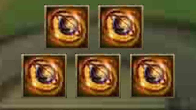 整整一年了！再次见到五个妮寇。