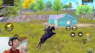 《鯊魚犯賤被滿編隊(duì)追殺，嘴唇發(fā)白化身逃跑大師？》