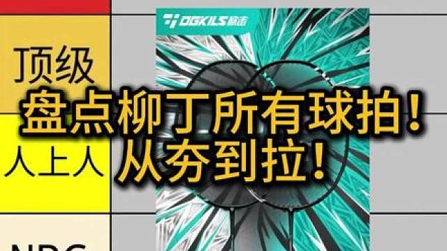 盘点欧击柳丁所有球拍