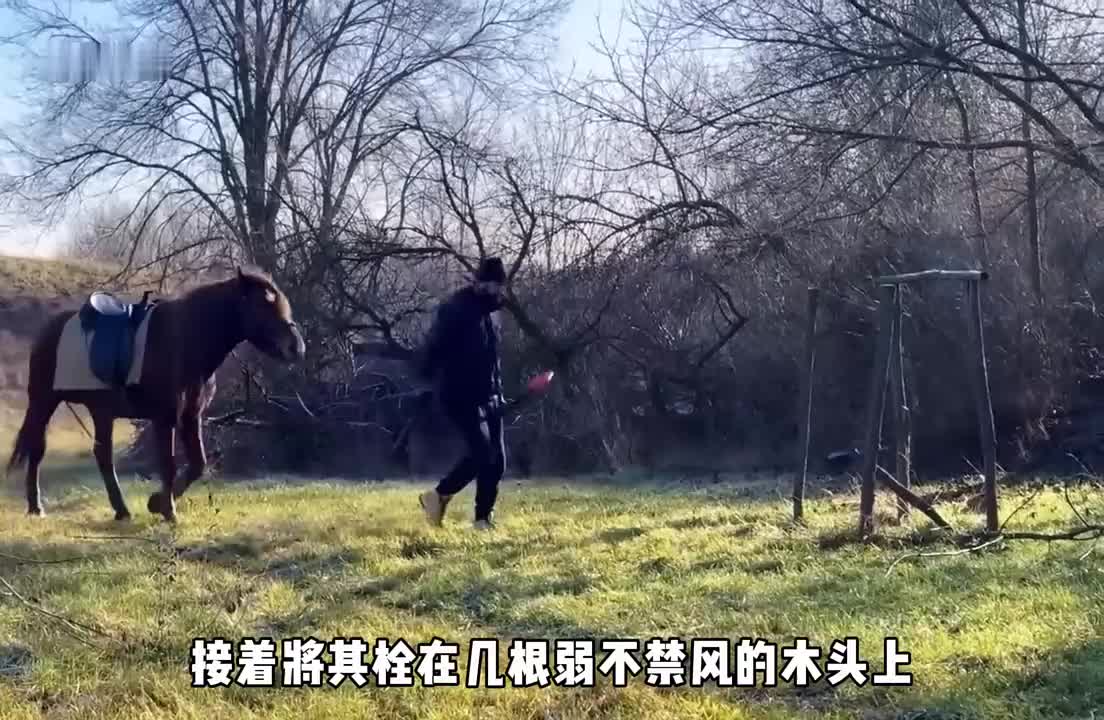 男人利用数百根原木和混泥土搭建庇护所，内部温暖无比。(1)