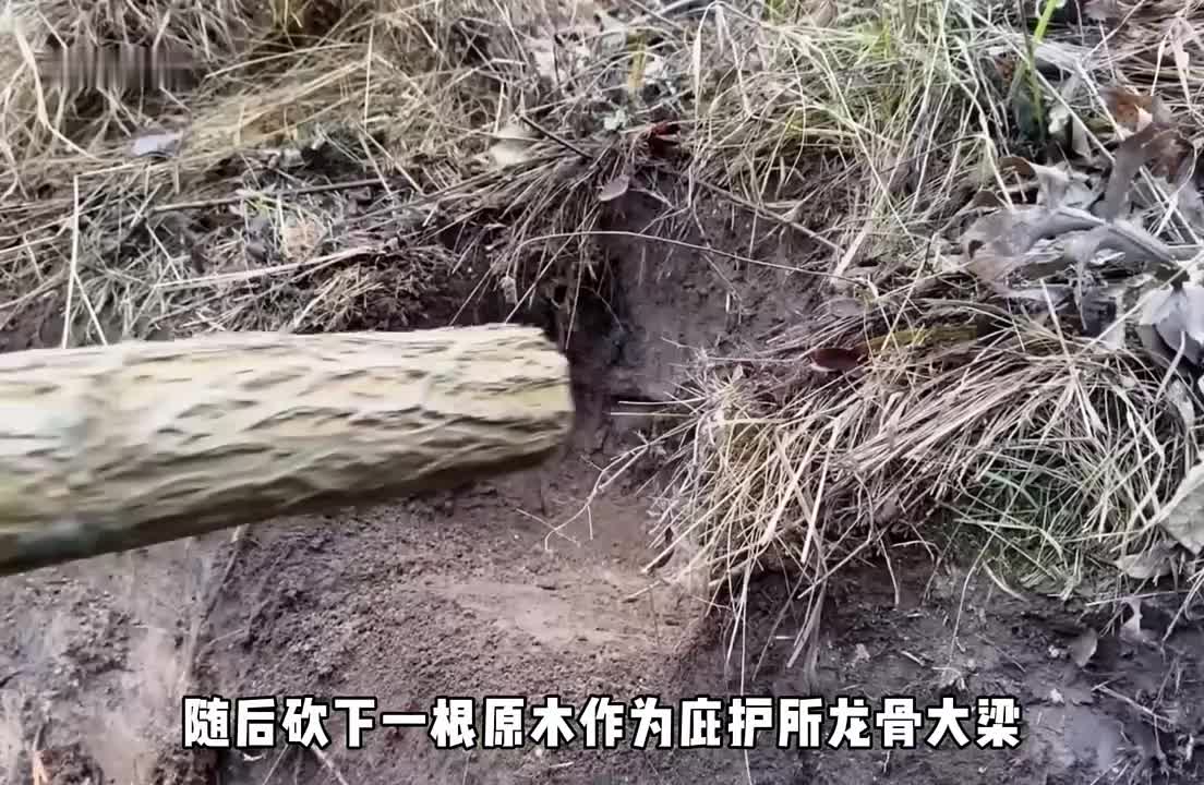 男人利用数百根原木和混泥土搭建庇护所，内部温暖无比。(2)