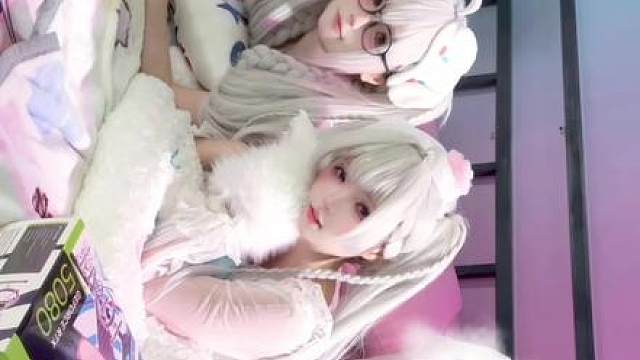 白毛控