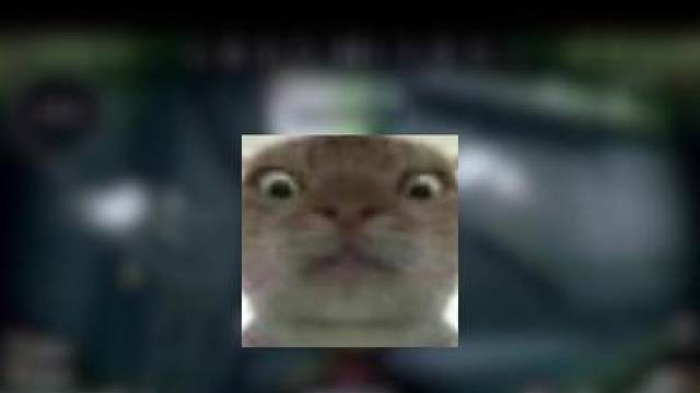 共享黑夜大坝你不要碎啊