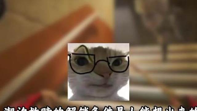 三角洲的策划你是疯了吗？