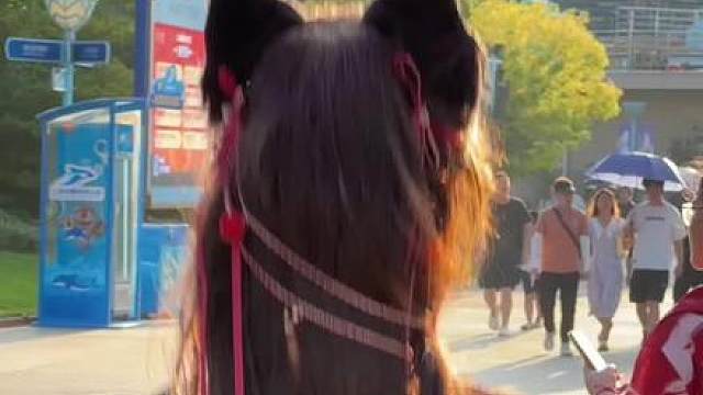 有救了，是小猫！