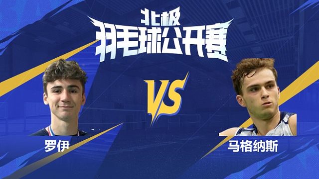 罗伊vs马格纳斯 2025北极羽毛球公开赛 清流