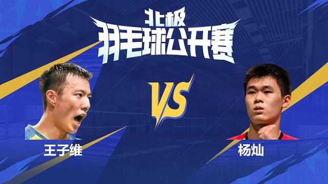 男单 王子维vs杨灿 1/16赛 2025北极羽毛球公开赛 清流