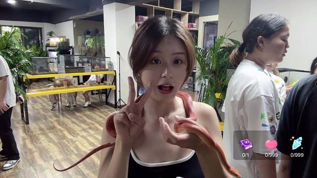 这个围脖有点冷