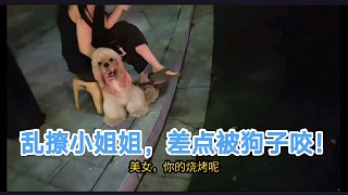 【小酷】亂撩小姐姐，差點(diǎn)被小姐姐的狗子咬！