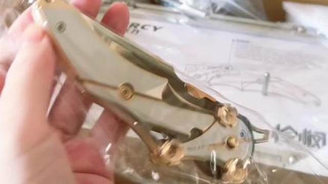 没有粥学长能拒绝这样一把怜悯模型 不开刃更安全