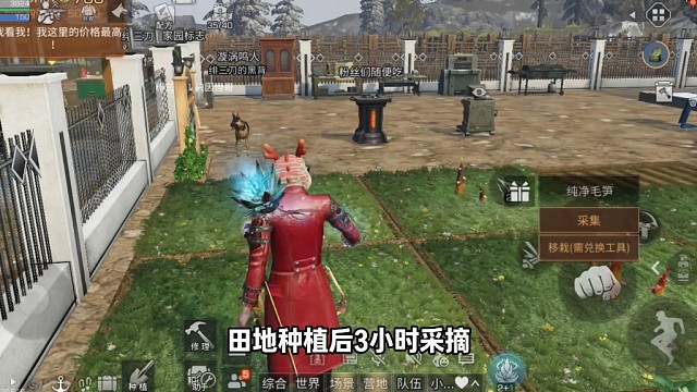 武士最强食物制作教学