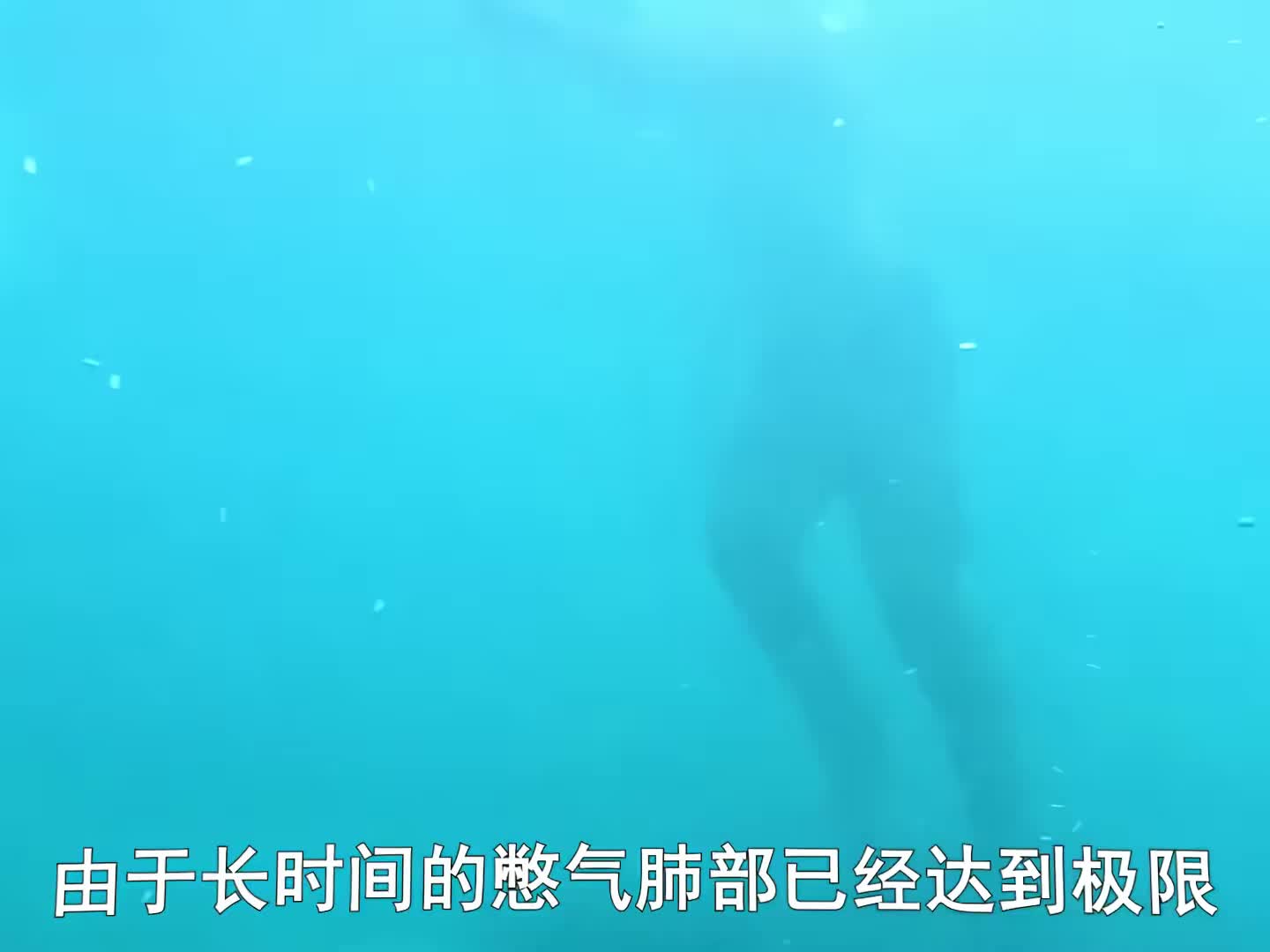 贝爷无人海岛求生，一路上没停过嘴