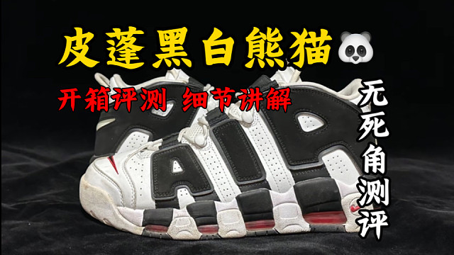 【全方位对比】皮蓬黑白熊猫究竟如何选择？真假多版本对比科普！教你区分好与坏！