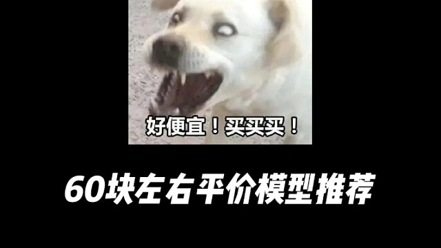 60块左右平价模型推荐