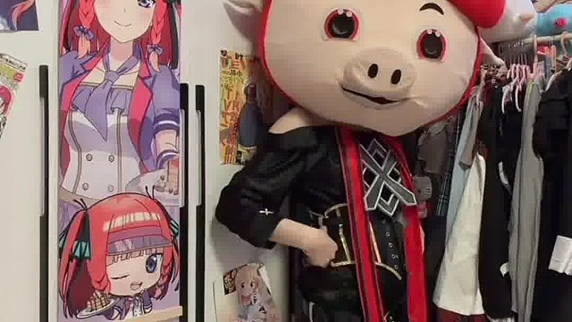 让小猪猪来保护你吧