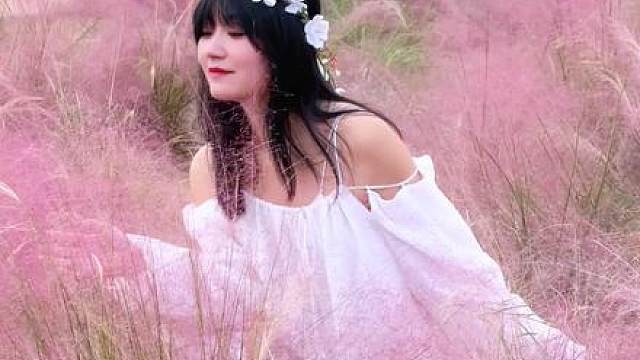 陷入秋日的浪漫 武昌江滩的粉黛花海太美啦 真的太好拍照啦