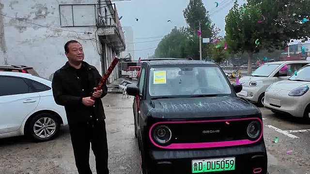 吉利熊猫卡丁