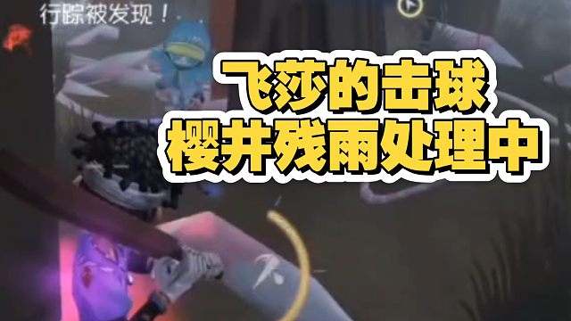 飞莎诠释击球手的下限，有点像演员。