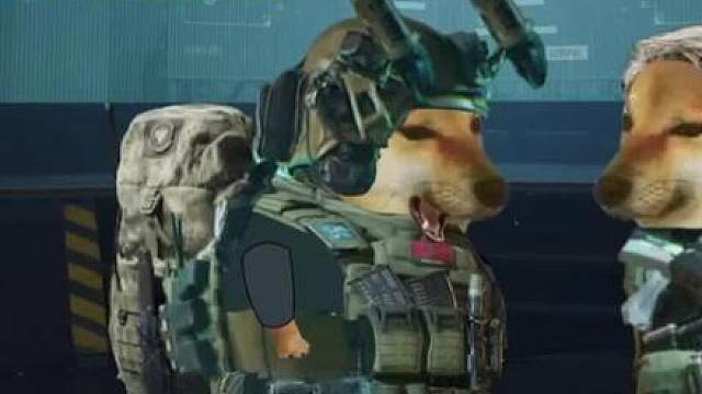 是你队友的现状吗？