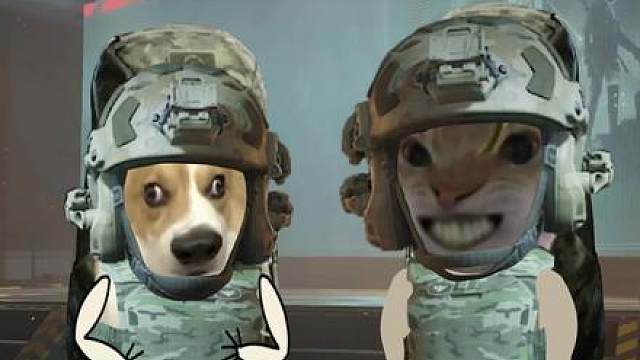 好人啊！居然送我一颗黄金鸟蛋