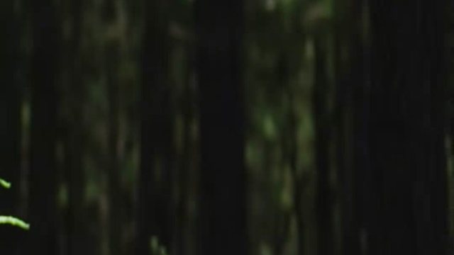 把自然氧气感 装进相册里