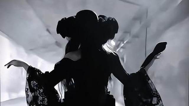 美丽且尊贵的伯爵夫人