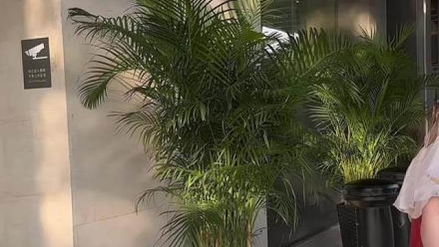 别看了 说的就是你！