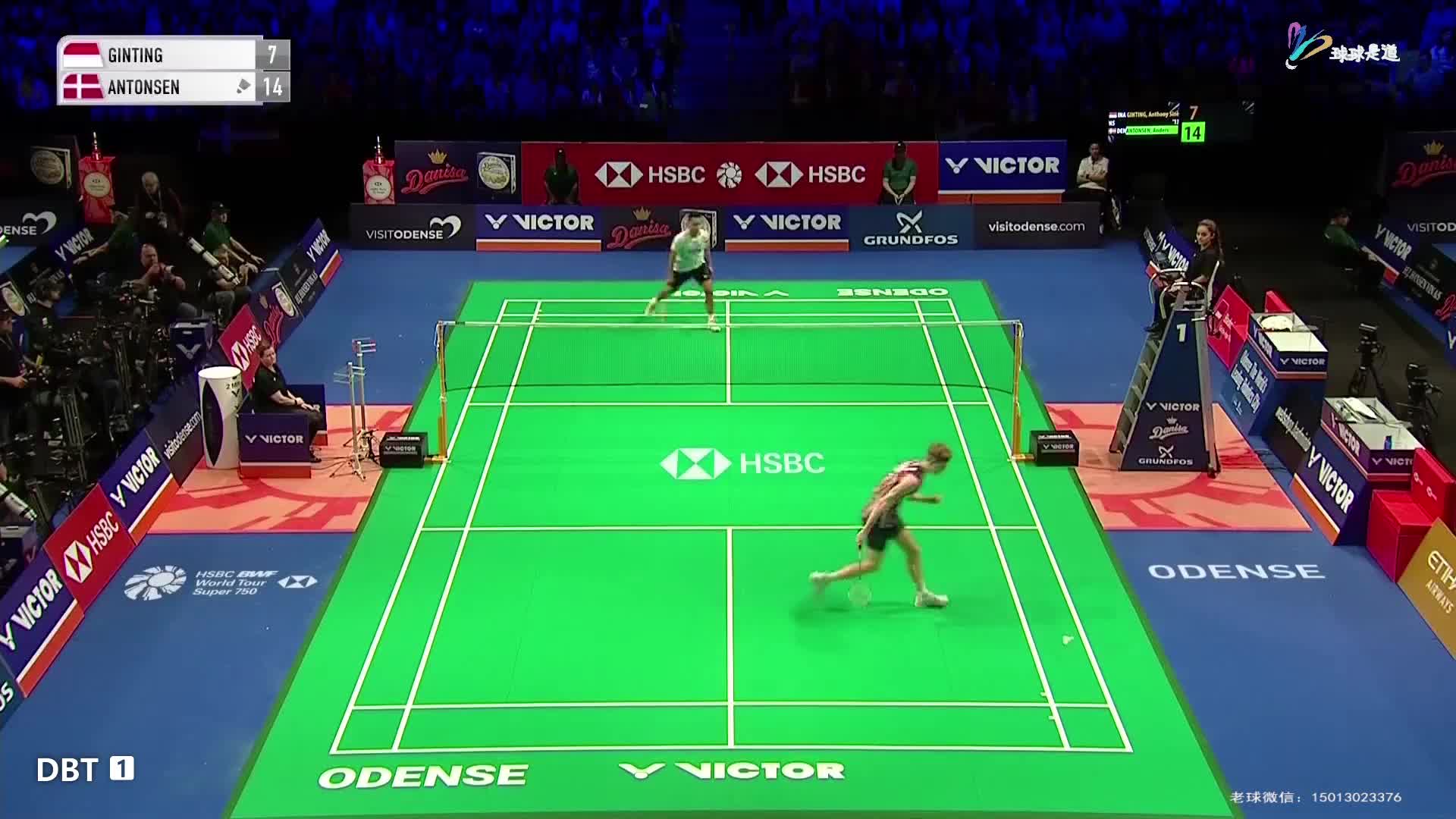 金廷vs安东森丹麦羽毛球公开赛