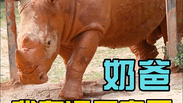 回家前先给自己搓个泥