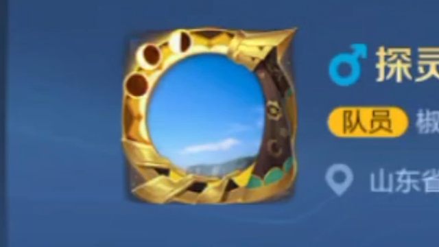 【进阶战令】这次战令升级给的头像框，就好像一个相框一样哎，对，就是类似相框，和我这个头像还有点莫名其