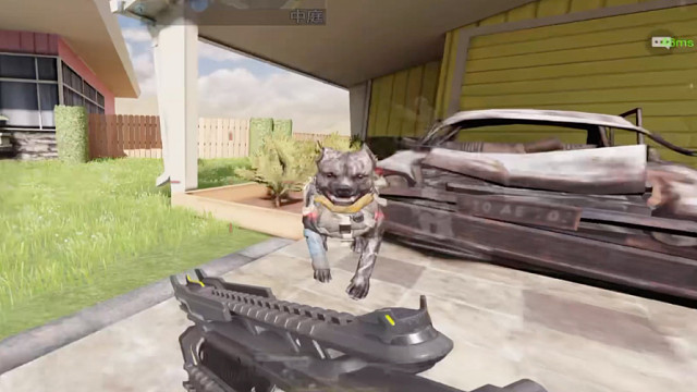 滑铲铲狗身上了