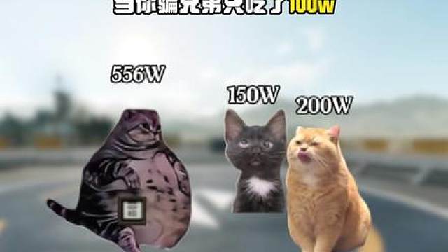 当你骗兄弟只吃了100W