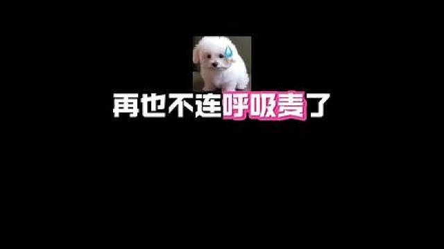 哈哈哈哈哈哈哈哈