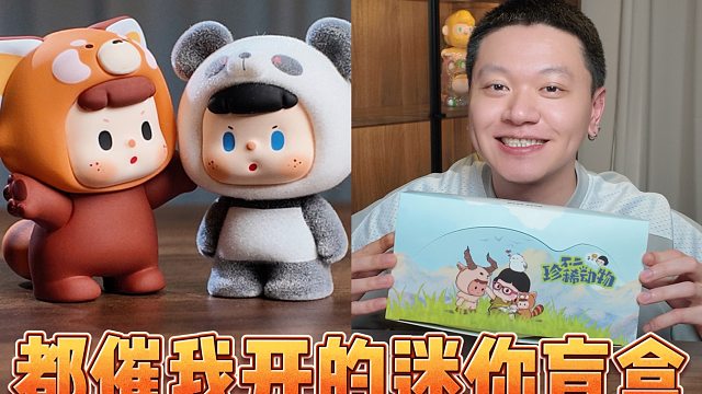 为什么这么多人提前让我拆不二迷你盲盒！