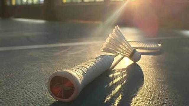 看看你现在用的是哪一把主力球拍吧