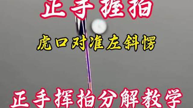 新手正手挥拍分解动作