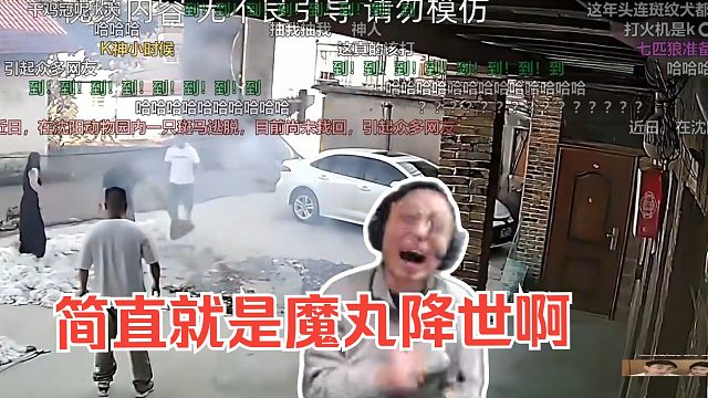 水晶哥看《十月人类迷惑行为大赏》。简直就是魔丸降世啊。