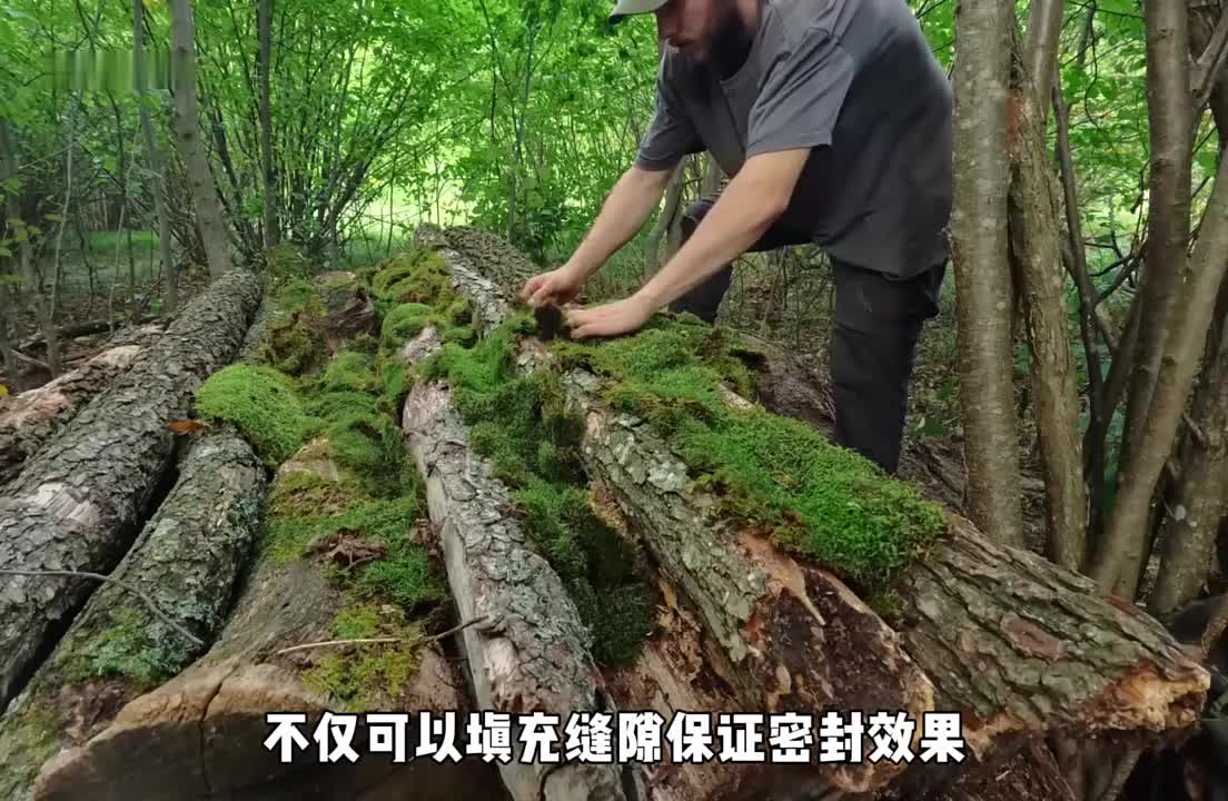 斯蒂芬为了过上荒野独居的日子独自来到森林(6)
