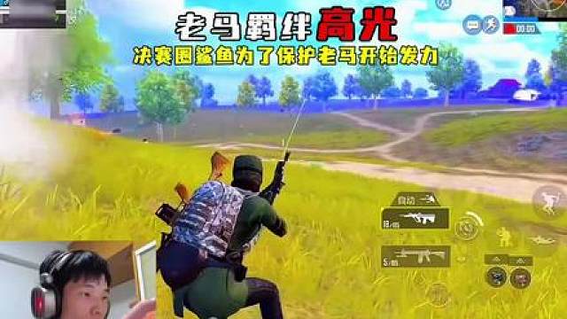 鲨鱼和老马的终极羁绊，为了保护老马鲨鱼开始正式发力