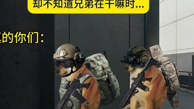 当你们带兄弟入坑三角洲，却不知道兄弟在干嘛时..