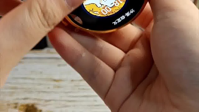 完全可以脱离手机独立使用