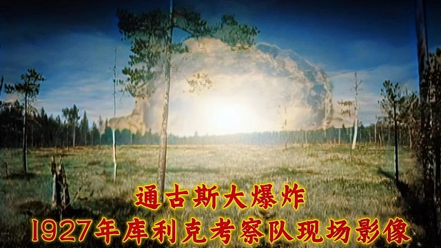 通古斯大爆炸，1927年库利克考察队现场影像，诡异发现