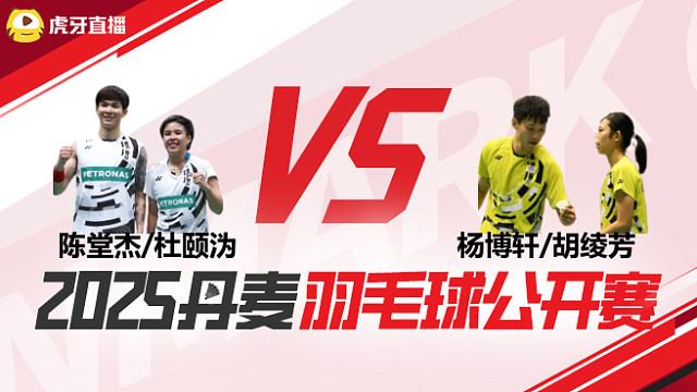 陈堂杰/杜颐沩vs杨博轩/胡绫芳 2025丹麦羽毛球公开赛 清流