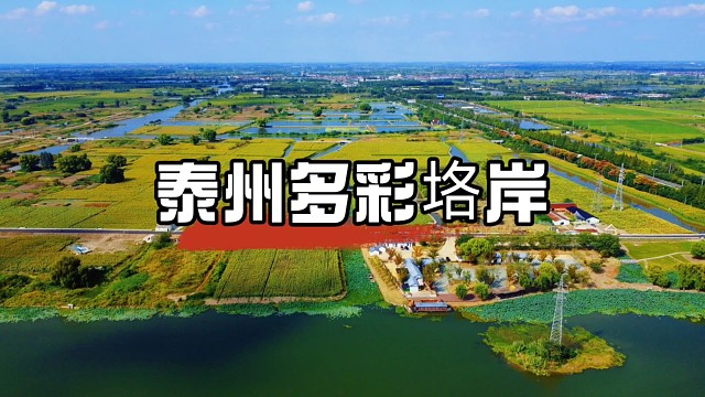 泰州垎岸秋日限定！向日葵花海漫过古盐道，藏着千年烟火气