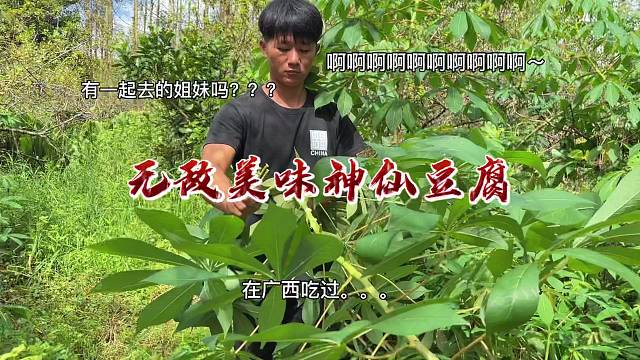 靠山吃山，山里的神奇叶子也可以做一道美食