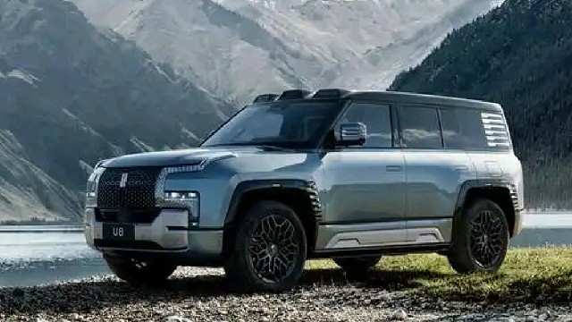 这家车企究竟有什么魔力啊？为何多国元首都是它们的车主呢？没错，它就是中国车企“比亚迪”。