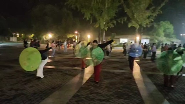 舞蹈《傣家女儿家的雨》