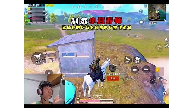 鲨鱼遇到小营养师队友，鲨鱼现场化身正义使者净化环境