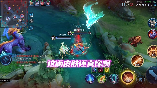 貂蝉大乔皮肤好像